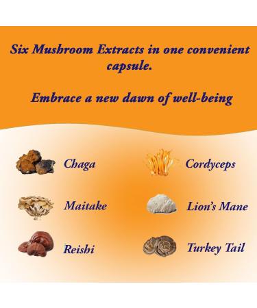 Earth Cap Mushrooms Sunrise 6 Mushroom Supplement Capsule - Chaga Cordyceps Lion's Mane Maitake Reishi Turkey Tail Real Fruiting Body - No Fillers - Buy Online on GoSupps.com