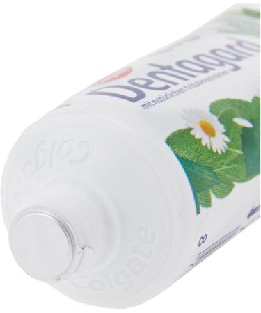 Dentagard Original Toothpaste 75 ml - Best International Shipping | Fresh Breath & Healthy Teeth - Buy Online on GoSupps.com