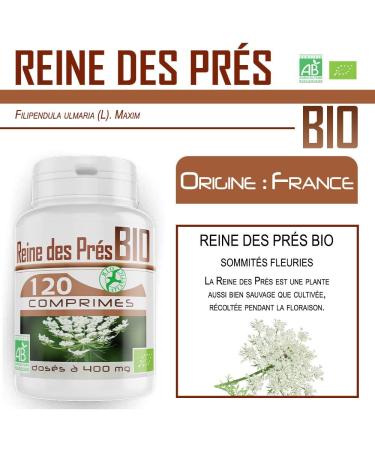 Meadowsweet Organic - 400 mg - 120 tablets - Buy Online on GoSupps.com