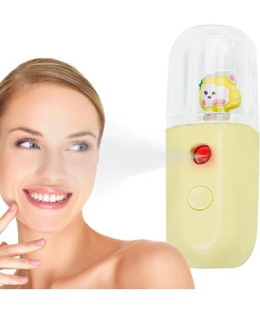 Pulv risateur d'eau hydratant pour le visage | brumisateur visage humidificateur nano pulv risateur | Face Water SPA Appareil hydratant 30 ml Humidificateur brume fra che pour femme Boiler Lapin aux Fraises - Buy Online on GoSupps.com