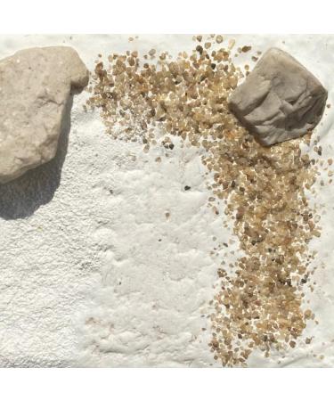 Linea Leonardo by Colle.21 Decorating Powder/Frammento di conchiglia - Buy Online on GoSupps.com