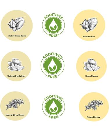 Dried Fruit & Botanical Spice Set - 6 Individual Sachets - Orange Smoked Orange Lime Smoked Pear Mango Coconut. Spice Gift Set - Buy Online on GoSupps.com