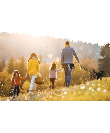 Bepilesto Small Dog Treat Pouch: Black Training Bag with Carabiner for Puppy Walking - Buy Online on GoSupps.com