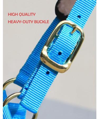T TEKE Lunge Cavesson - Black Full Size with Fleece Lined Nose Band - Buy Online on GoSupps.com