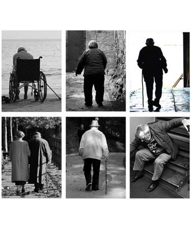 Wooden Walking Stick Solid Cane Natural Wood Canes for Men and Women Lightweight and Strong Carving Walking Stick with Rubber Tip 250 lbs Weight Capacity (Color : Cane Size : 85cm) Cane 77cm - Buy Online on GoSupps.com