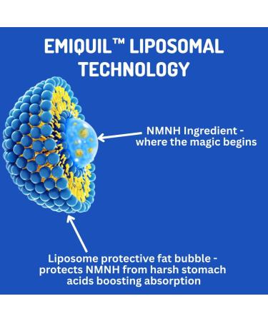 BioImmune Emiquil Liposomal NMNH 2 Pack 500mg 120 Capsules NAD Supplement (NMN Alternative) 10X NAD+ Levels for Anti-Aging - Buy Online on GoSupps.com