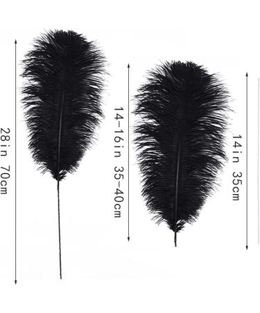 Ballinger Black Ostrich Feathers Bulk Kit - 10Pcs 28inch for Floral Arrangement, Wedding & Halloween Decor - Buy Online on GoSupps.com