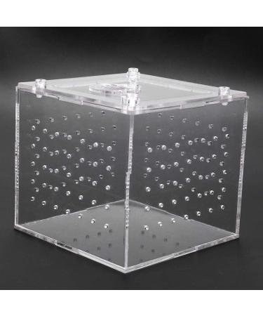 Reptile Breeding Box Reptile Terrarium Feeder Snakes Spider Lizard Feeding Acrylic Box Case Insects House for Lizard Chameleon Spider Frog Cricket Turtle Crab - Buy Online on GoSupps.com