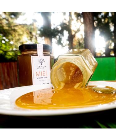 Ilanga Nature - Coffret Cadeau - Duo de Miels 250g | Madagascar - Buy Online on GoSupps.com