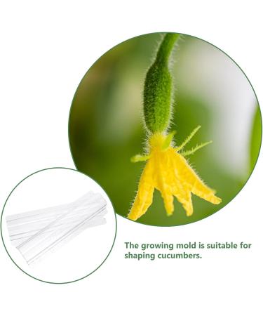 jojofuny 3Pcs Fruit Shaper Vegetable Forming Mould Tool Fruit Stereotypes for 20x6cm As Shown - Buy Online on GoSupps.com