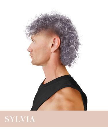 Buy Hermans Amazing Direct Silver Hair Color - Semi-Permanent Tint & Conditioner - 115ml Sylvia | Perfect for Stunning Silver Hair - Buy Online on GoSupps.com