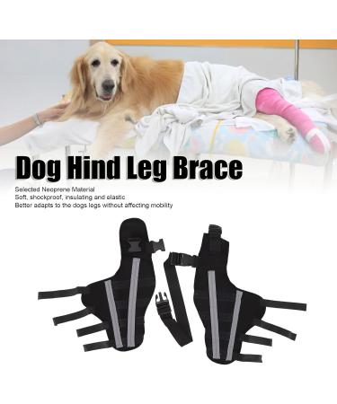 Pet Knee Joint Wrap Reflective Soft Material Inflammation Reduction Stable Dog Hind Leg Support Brace for Knee Dislocation L - Buy Online on GoSupps.com
