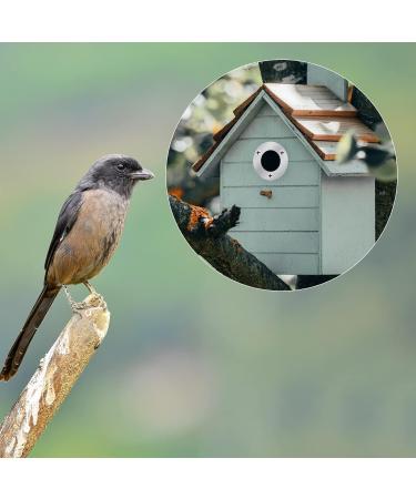 12PCS Bird Nest Box Protection Plates 32mm Wild Bird Boxes Garden Small Birds Metal Plate Birdhouses Bird Houses Robin Nest Box Sparrow Nest Box Owl Budgie Swift Stainless Steel Plate - Buy Online on GoSupps.com