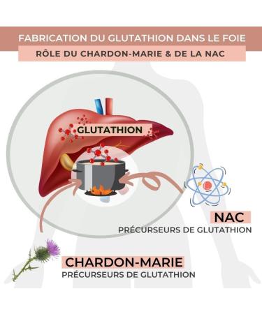 INOLAB Glutathione 400mg NAC Milk Thistle Acerola Bio - GASTRO RESISTANT Capsules Optimized assimilation - Glutathione with Bio Fe - Buy Online on GoSupps.com