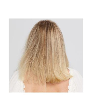 Paul Mitchell Clean Beauty Repair Conditioner - Strengthens & Balances Moisture for Damaged Brittle Hair - 8.5 Fl Oz - Buy Online on GoSupps.com