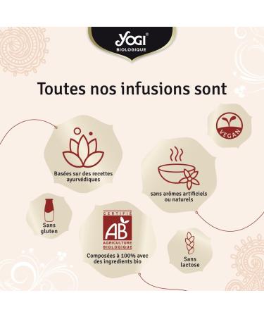 Yogi Biologique D fenses Immunitaires Infusion 100% Bio chinac e Jus d'Ac rola s ch et Orange 12 Sachets thermosoud s et sans agrafe 24 g 311011 D fense Immunitaire - Buy Online on GoSupps.com