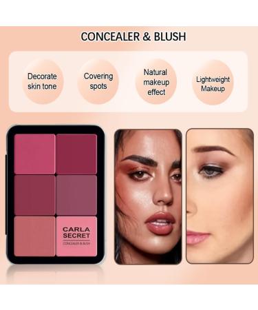 Palette de 12 couleurs d'anticernes et de fards joues longue tenue r sistante aux bavures estompable 2 en 1 fards joues en cr me au fini mat Palette de maquillage pour le visage (#02) #12-2 - Buy Online on GoSupps.com