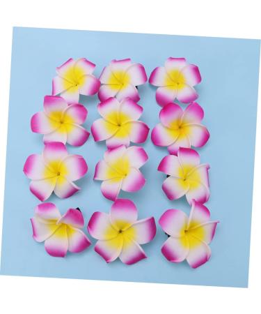 Angoily Hair Accessory for Girls Hair Clips for Girls Barrettes for Girls Hibiscus Flower Hair Clips Summer Hair Clips Accesorios Para Plumeria Hair Clip Hair Accessories The Flowers - Buy Online on GoSupps.com