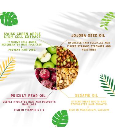 OMM Collection Natural Hair Thickening Mask - Prevent Hair Loss & Thinning, Hydrating Treatment for Dry, Damaged Hair - Boost Growth, Stimulate Follicles - Vegan - All Hair Types - Buy Online on GoSupps.com