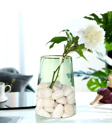 LONTOM Natural White Pebbles 2.2lb Decorative Stone Polished Gravel River Rocks for Plants Home DIY Decor Aquarium Gravel Vase Fillers Fairy Garden Crafting Animal Habitat Medium - Buy Online on GoSupps.com