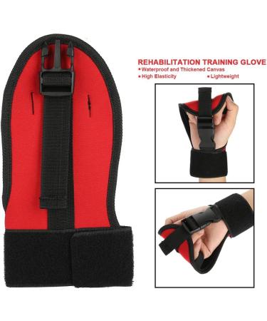 Finger Splint Brace ability Finger Anti Spasticity Rehabilitation Auxiliary Training Gloves for Stroke Hemiplegia Patient and Athlete Finger Rehabilitation Universal Single Hand Grip(Sticker gloves) - Buy Online on GoSupps.com