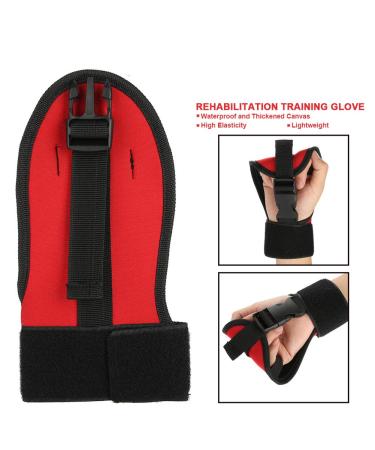 Finger Splint Brace for Stroke & Hemiplegia Anti-Spasticity Rehabilitation Gloves for Athletes | Universal Single Hand Grip - Buy Online on GoSupps.com