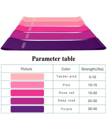 Resistance Loop Bands Set of 5 Resistance Workout Fitness Exercise Loop Bands with Five Resistance Levels for Physical Therapy Rehab Yoga Pilates and Strength Training in Gym and Home ( Pink series) - Buy Online on GoSupps.com