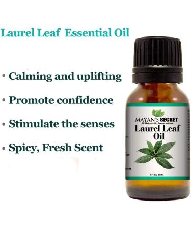 Laurel Leaf Essential Oil (100% Pure -Best Therapeutic Grade Essential Oil - 30 ml(1 oz) - Buy Online on GoSupps.com