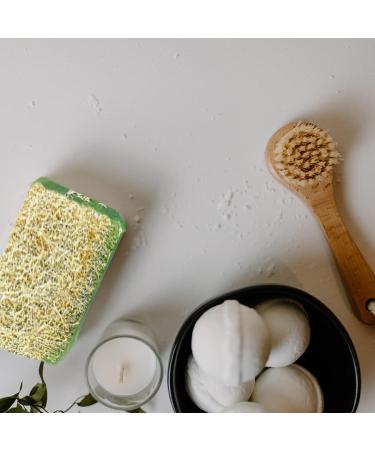 Buy Natural Handmade Aloe Vera Soap Bar with Pumpkin Fiber - 120g | Nourishing Anti-Aging Oil Balance Vitamins C & E | Treat Dryness Blackheads & Acne - International Shipping Available - Buy Online on GoSupps.com