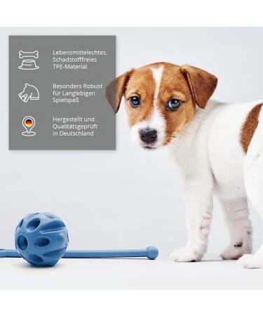 Petp l Durable TPE Rubber Dog Toys - Safe Frisbees Balls & Chewing Bones for Large & Small Dogs - Water & Swimming Fun - 6.5cm Blue - Buy Online on GoSupps.com