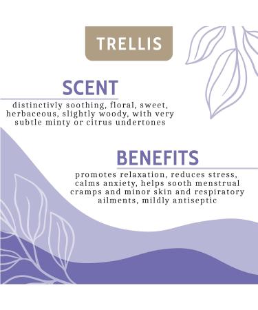 Lavender Essential Oil 10ml by Trellis | 100% Pure Aromatherapy Oil for Diffusers | Vegan & Cruelty-Free | Ethically Sourced & Bottled in the UK - Buy Online on GoSupps.com