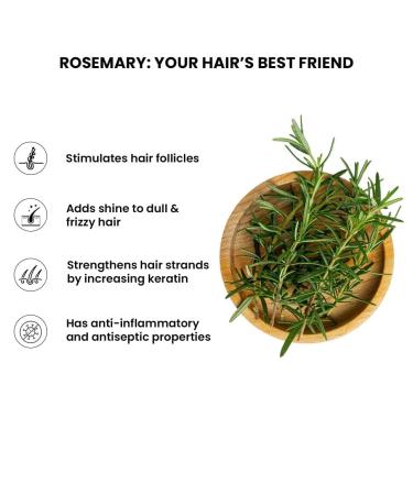 Thrive.Co Rosemary Water Hair Spray | With 100% Natural Rosemary Extract Rice Water & Hyaluronic Acid | For Hair Growth Hair Fall Control Hair Conditioning & Hair Shine | Men & Women 100ml - Buy Online on GoSupps.com