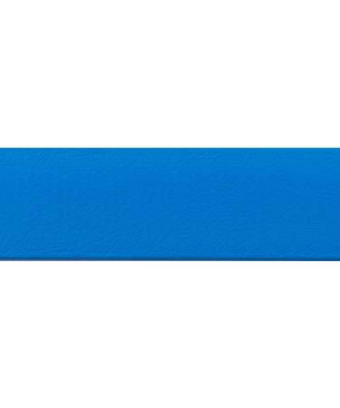 Buy BioThane by the Meter - BETA Standard 38mm Azure Blue (BU521) - Durable & Versatile eCommerce Shipping Worldwide - Buy Online on GoSupps.com