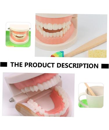 Shop Tovinanna 2-Sentence Toy for Early Dental Education | Fun Toothbrushing Model for Toddlers & Kids - Reusable Educational Puzzle Toy - Buy Online on GoSupps.com