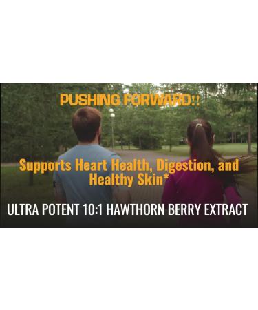 Nature's Push Super Potent Hawthorn Berry Supplement 10:1 Extract 675mg Capsules for Digestion Heart Health Glycemic Support-Extra Strength Non-GMO Gluten Free Vegan GMP USA (60 Count (Pack of 1)) - Buy Online on GoSupps.com