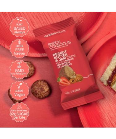 SNACK CONSCIOUS Peanut Butter and Jam Protein Bites 12 x 45g Plant Based Gluten Free Vegan Non-GMO Made in Canada Peanut Butter & Jam - Buy Online on GoSupps.com