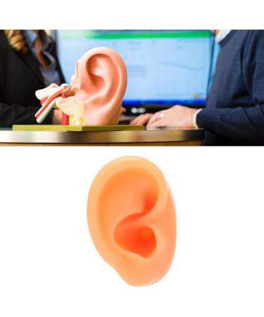 Flexible Silicone Human Ear Model for Displaying Earrings - Reusable Fake Ear Right Side - Buy Online on GoSupps.com