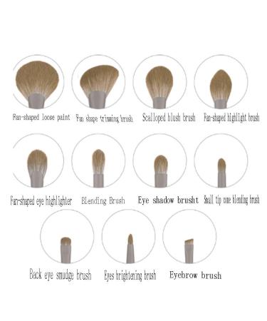 Buy 11-Piece Makeup Brush Set | Soft Lightweight & Portable Professional Tools for Flawless Application - Buy Online on GoSupps.com