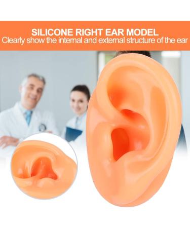 Flexible Silicone Left Ear Model for Realistic Earwax Removal Simulation - Buy Online on GoSupps.com