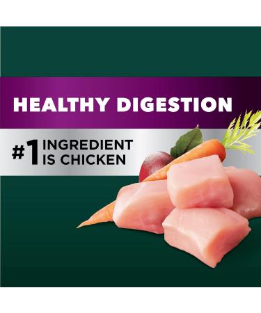 IAMS Advanced Health Dog Food Dry Healthy Digestion Adult Chicken & Whole Grain Recipe 12.2kg (27LB) Bag & Proactive Health Healthy Adult Dry Cat Food with Chicken 7.26kg Bag 12.2 kg (Pack of 1) Dog Food + Adult Dry Cat Food - Buy Online on GoSupps.com