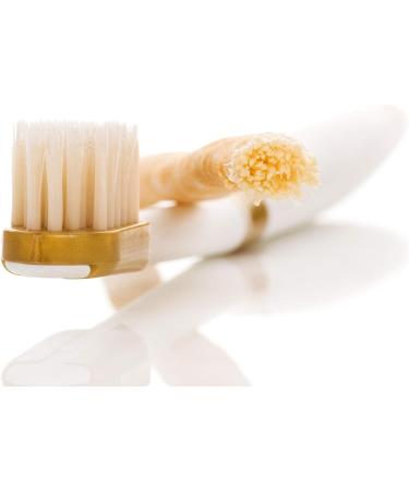 Crystal Miswak Ion Toothbrush with Siwak Wood Powder | Natural Dental Care for Healthy Smile - Buy Online on GoSupps.com