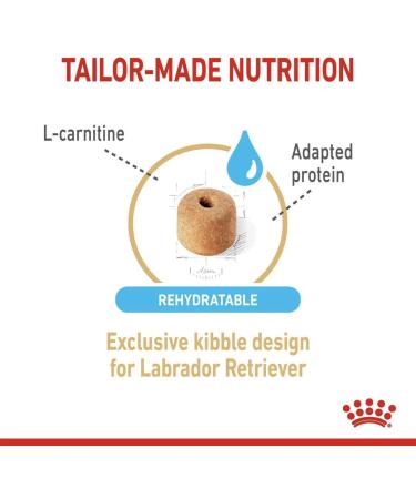 ROYAL CANIN Labrador Retriever Adult 5+ 12kg - Buy Online on GoSupps.com