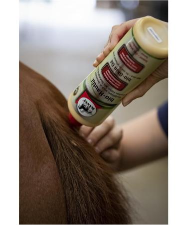 Buy RL24 Leovet Organic Skin Oil for Horses | Relieve Itching Summer Eczema & Dry Skin | Strengthening Skin Lotion with Organic Sulfur | 500 ml - Buy Online on GoSupps.com