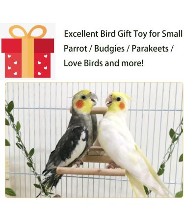 NINGVIHE Bird Mirror Bird Swing Parrot Cage Toys Bird Toy for Parrot Parakeets Conures Cockatiels Cage Swing Wooden Fun Play Toy for Birds (2 PACK) - Buy Online on GoSupps.com
