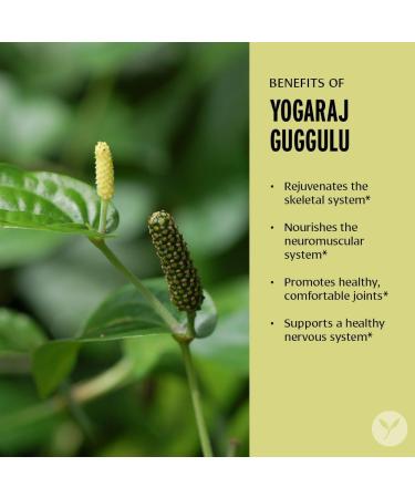 Banyan Botanicals Yogaraj Guggulu | Organic Ayurvedic Joint Support Supplement | Non-GMO Vegan 90 Tablets - Buy Online on GoSupps.com