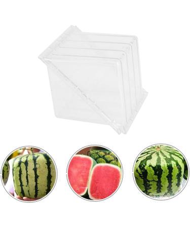 OSALADI Fruit Pumpkin Tools Watermelon Forming Molds Gardening Supplies Vegetable Stereotypes Moss 15x15cm Transparent - Buy Online on GoSupps.com