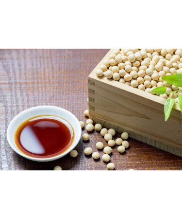 LEE KUM KEE Premium 510g | 2x Panda Oyster Sauce | Authentic Asian Flavor for Cooking Marinades and Dressings - Buy Online on GoSupps.com