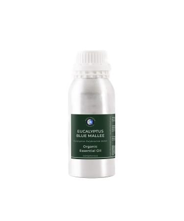 Mystic Moments Eucalyptus Blue Mallee Organic Oil 500 g 100% Pure