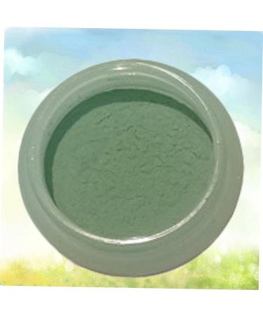 SEWACC 2PCS Heat Powder UV Powder color changing powder activation Photosensitive powder Green 5X5cm - Buy Online on GoSupps.com