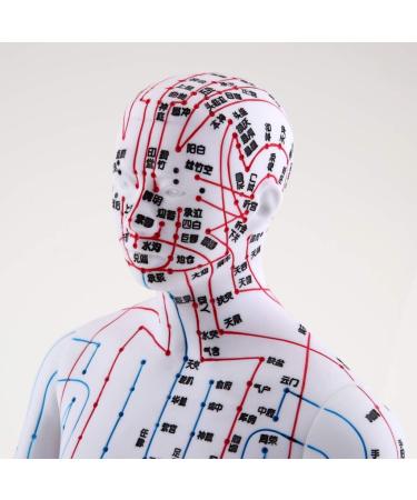 harayaa Human Body Point as described Male - Buy Online on GoSupps.com